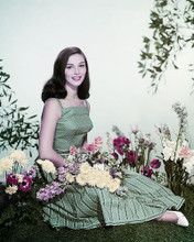 This is an image of Photograph & Poster of Pier Angeli 286429