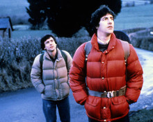 This is an image of Photograph & Poster of American Werewolf in London 286487