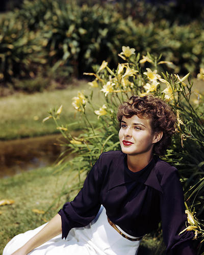 This is an image of Photograph & Poster of Jean Peters 286488