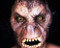 This is an image of Photograph & Poster of American Werewolf in London 286493