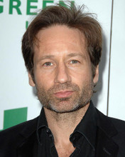 This is an image of Photograph & Poster of David Duchovny 286743