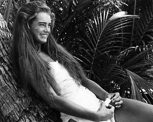 This is an image of Photograph & Poster of Brooke Shields 195997