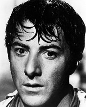 This is an image of Photograph & Poster of Dustin Hoffman 196030