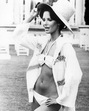 This is an image of Photograph & Poster of Jaclyn Smith 196058