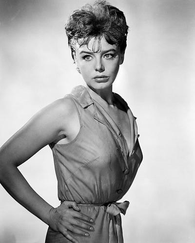 This is an image of Photograph & Poster of Janet Munro 196064