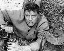 This is an image of Photograph & Poster of Burt Lancaster 196102