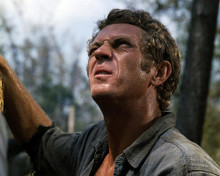 This is an image of Photograph & Poster of Steve McQueen 286583