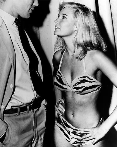 This is an image of Photograph & Poster of Yvette Mimieux 196117