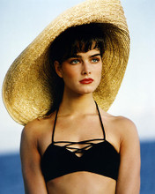 This is an image of Photograph & Poster of Brooke Shields 287012