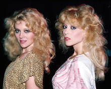 This is an image of Photograph & Poster of Audrey Landers and Judy Landers 286971