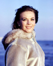This is an image of Photograph & Poster of Natalie Wood 286973