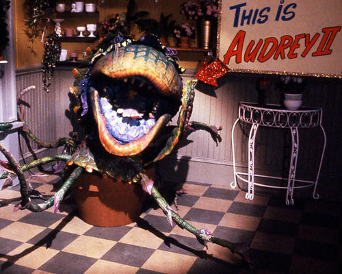 This is an image of Photograph & Poster of Little Shop of Horrors 286890