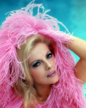 This is an image of Photograph & Poster of Virna Lisi 286932