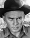 This is an image of Photograph & Poster of Yul Brynner 196515