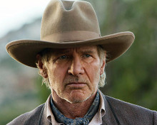 This is an image of Photograph & Poster of Harrison Ford 287130