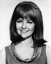 This is an image of Photograph & Poster of Shelley Fabares 196581