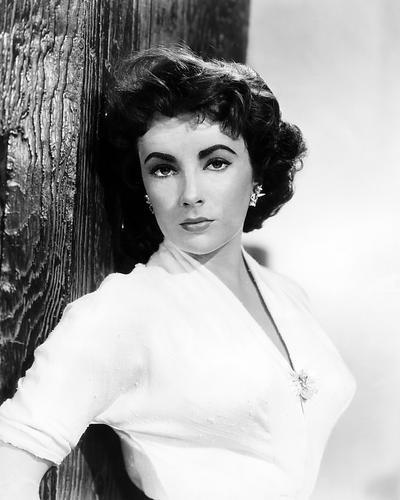 This is an image of Photograph & Poster of Elizabeth Taylor 196588