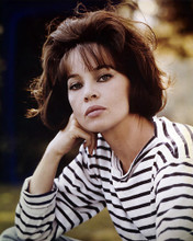 This is an image of Photograph & Poster of Leslie Caron 287424