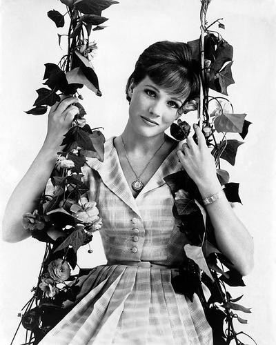 This is an image of Photograph & Poster of Julie Andrews 196603