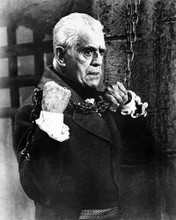 This is an image of Photograph & Poster of Boris Karloff 196626