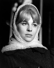 This is an image of Photograph & Poster of Julie Christie 196628