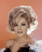 This is an image of Photograph & Poster of Virna Lisi 287274