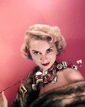 This is an image of Photograph & Poster of Janet Leigh 287284