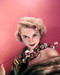 This is an image of Photograph & Poster of Janet Leigh 287284