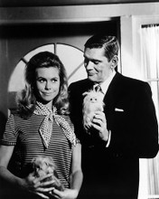 This is an image of Photograph & Poster of Bewitched 196638