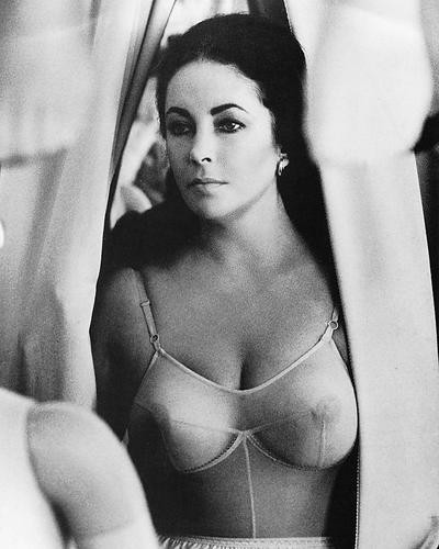 This is an image of Photograph & Poster of Elizabeth Taylor 196674