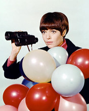This is an image of Photograph & Poster of Barbara Feldon 287622