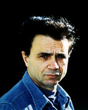 This is an image of Photograph & Poster of Robert Blake 287624