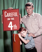 This is an image of Photograph & Poster of The Andy Griffith S 287632