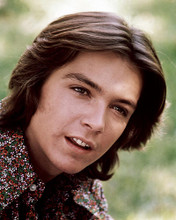 This is an image of Photograph & Poster of David Cassidy 287672