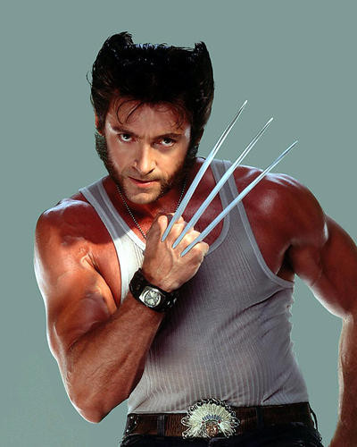 This is an image of Photograph & Poster of Hugh Jackman 287652