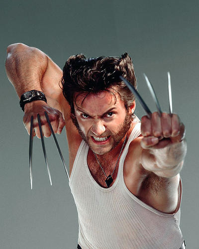 This is an image of Photograph & Poster of Hugh Jackman 287660