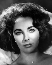 This is an image of Photograph & Poster of Elizabeth Taylor 196684