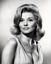 This is an image of Photograph & Poster of Nancy Kovack 196796