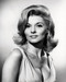 This is an image of Photograph & Poster of Nancy Kovack 196796