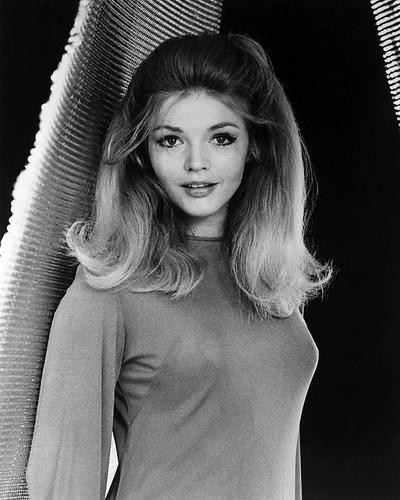 karenページ Movie Market - Photograph & Poster of Karen Jensen 196757