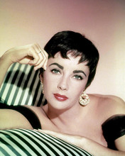 This is an image of Photograph & Poster of Elizabeth Taylor 287693