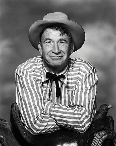 This is an image of Photograph & Poster of Chill Wills 196930