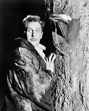 This is an image of Photograph & Poster of Vincent Price 196981