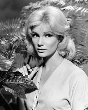 This is an image of Photograph & Poster of Yvette Mimieux 197025