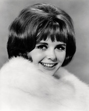 This is an image of Photograph & Poster of Deborah Walley 197366