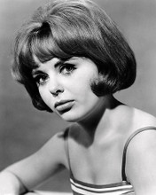 This is an image of Photograph & Poster of Deborah Walley 197379