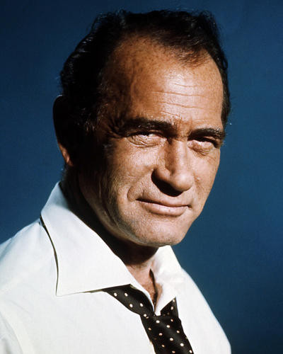 This is an image of Photograph & Poster of Darren McGavin 288332