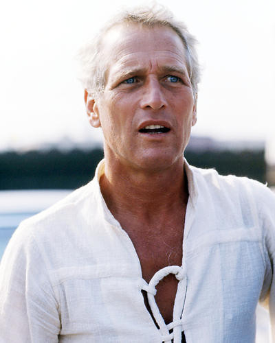 This is an image of Photograph & Poster of Paul Newman 288358