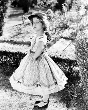 This is an image of Photograph & Poster of Shirley Temple 197169
