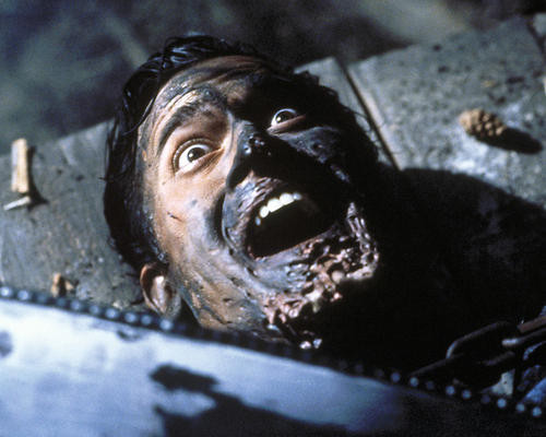 This is an image of Photograph & Poster of Army of Darkness 288246